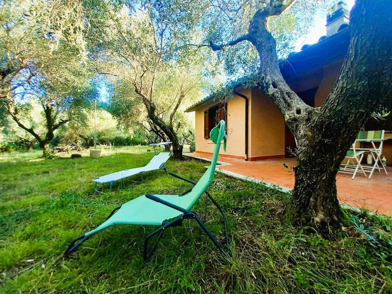 All'Ombra Degli Olivi Pisciarelli Extérieur photo